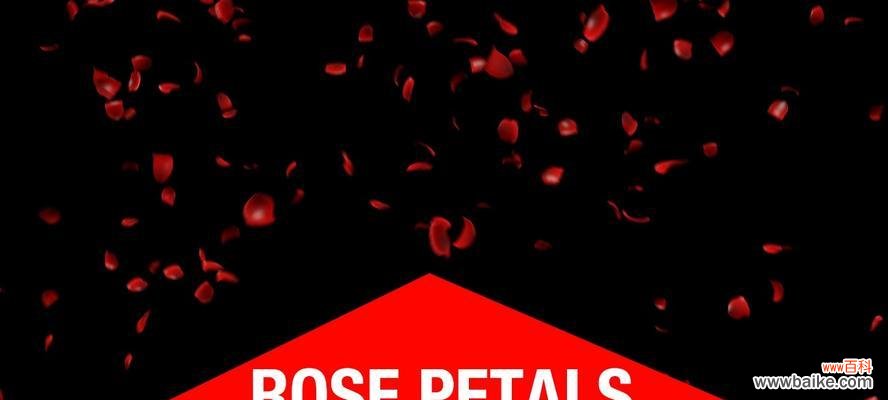 一支玫瑰花撒落代表什么？