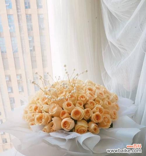 深入探索香槟色玫瑰传递的情感和信息 香槟色玫瑰代表的含义和象征