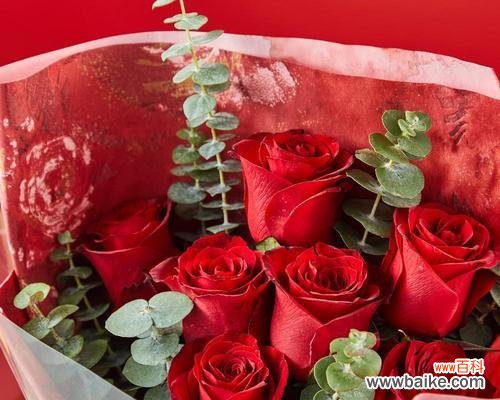 探寻11支玫瑰的深刻寓意 玫瑰花的象征意义