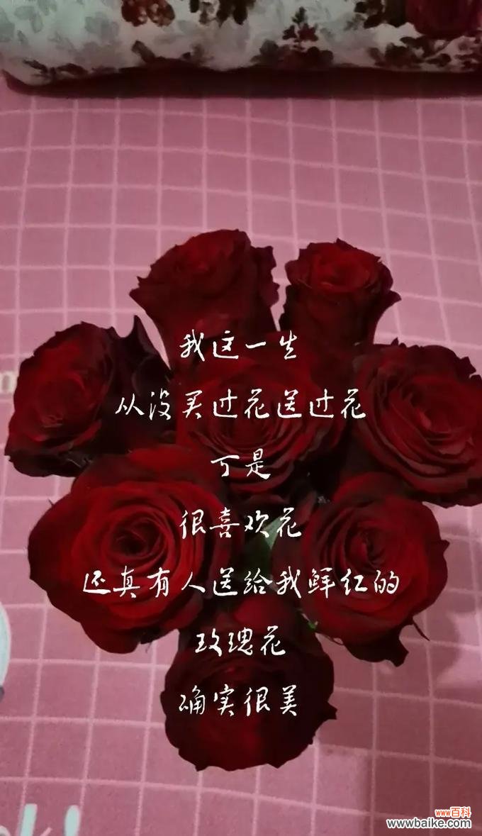 从人身上摘取玫瑰花的含义是什么？
