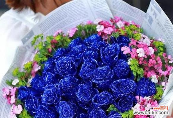 探究冰蓝色玫瑰的神秘面纱与情感寓意 解读冰蓝色玫瑰的花语