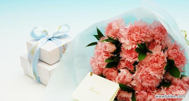 探究康乃馨的花语及历史渊源 康乃馨——爱情的使者