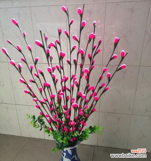 从枝叶舒展到清新气质 银柳的寓意与象征——自然之美与生命力