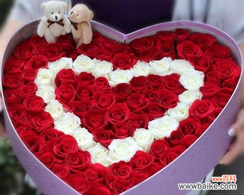 男朋友送粉玫瑰和白玫瑰是什么意思？