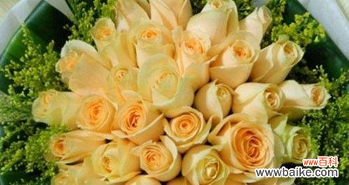 解析玫瑰的语言，传递心意的美好 花语与美好心愿——21朵香槟玫瑰的意义