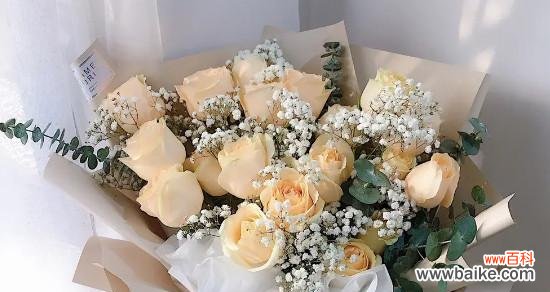 解析玫瑰的语言，传递心意的美好 花语与美好心愿——21朵香槟玫瑰的意义