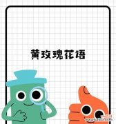 哪种玫瑰花代表友谊？它的花语有何特别之处？