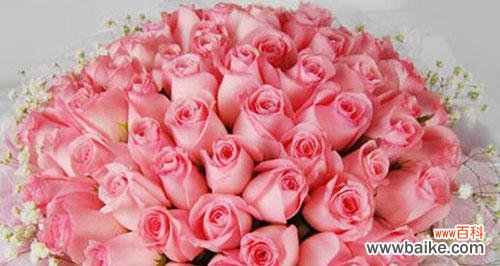 传递爱情的芳香之语 99朵粉玫瑰的花语