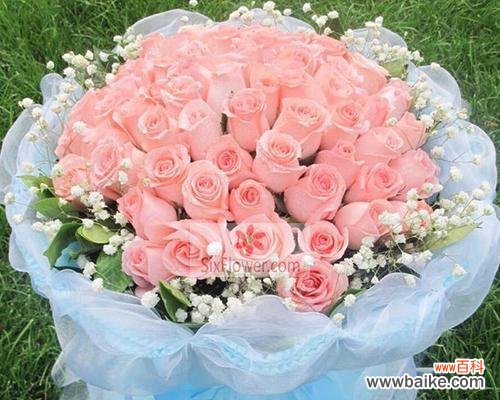 传递爱情的芳香之语 99朵粉玫瑰的花语