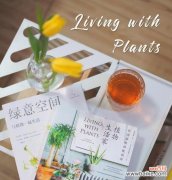 “绿意”通常与哪种植物相关联？