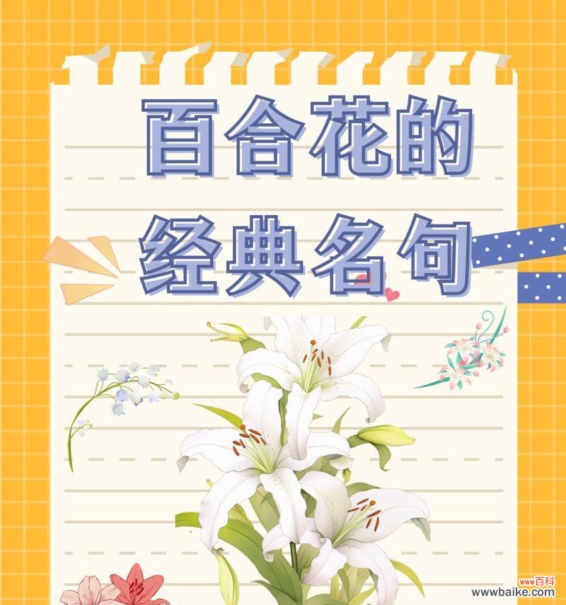 女生送一支百合花有何含义？百合花作为礼物有何象征意义？
