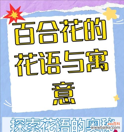 女生送一支百合花有何含义？百合花作为礼物有何象征意义？