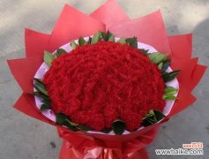 以康乃馨不同颜色的含义探索 康乃馨的色彩语言