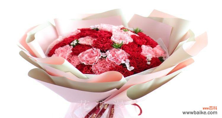 追寻花朵中的含义与感悟 康乃馨