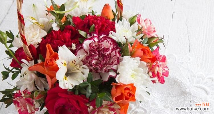 以康乃馨代表的意义和象征特征 康乃馨