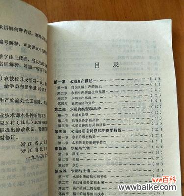 水稻4.0技术是什么？它对农业发展有何影响？