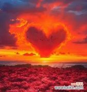 哪种花的花语代表永恒？它象征了什么？