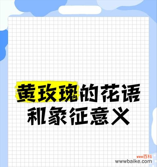 19朵黄玫瑰的花语是什么？这个数量的黄玫瑰有何特别含义？
