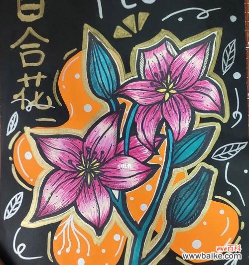 百合色在色彩学中代表什么？它有哪些特别的含义？