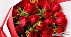 了解花语，送花更有心玫瑰花语 揭秘玫瑰花语的奥秘——多少朵代表什么