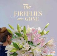 男生提到百合花有何深层含义？