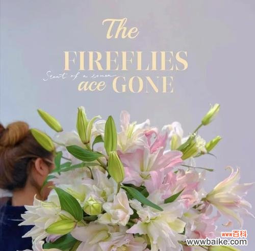 男生提到百合花有何深层含义?