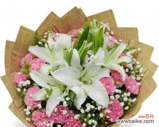 送女孩子百合花寓意着什么意思？11朵康乃馨代表什么？