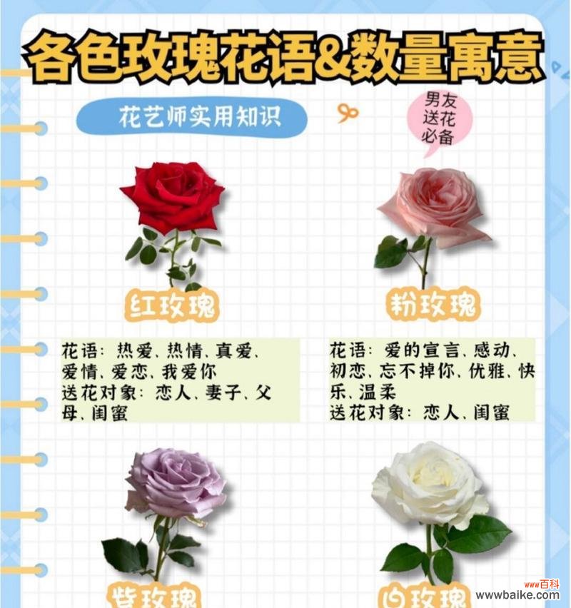 爸爸变玫瑰花给女儿的寓意是什么？应该选择哪种颜色的玫瑰？