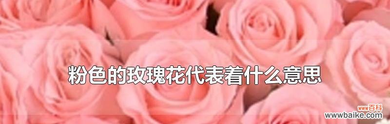探索玫瑰花的浪漫寓意 玫瑰花的意义和传说