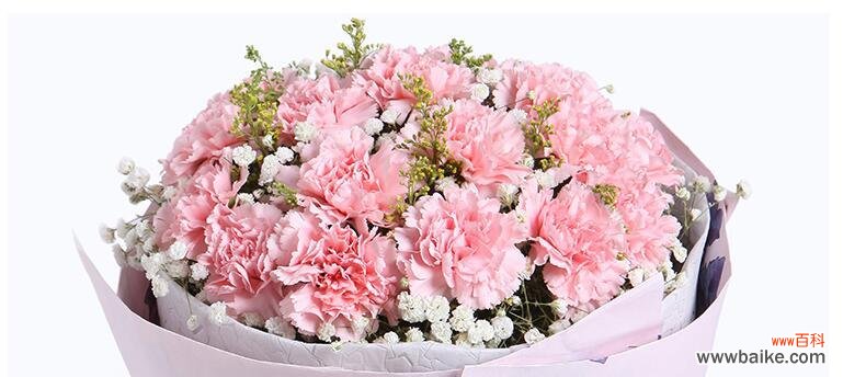 康乃馨花语的祝福和表达方式 康乃馨花语的寓意与象征