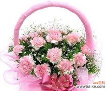 康乃馨花语的秘密 康乃馨花语的深层寓意