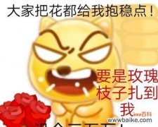 “我的脑袋像玫瑰花”是什么意思？它表达的是什么情感？