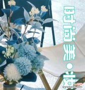 背后有玫瑰花是什么意思？玫瑰花在不同位置的象征意义是什么？