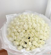 199朵冰蓝白玫瑰的含义是什么？送花时应注意哪些事项？