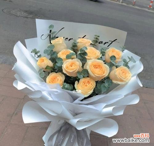 探索花语中的玫瑰花语，揭秘香槟玫瑰背后的含义 11朵香槟玫瑰的寓意与象征