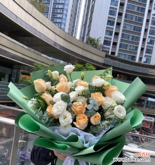 探索花语中的玫瑰花语，揭秘香槟玫瑰背后的含义 11朵香槟玫瑰的寓意与象征