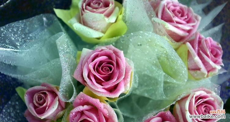 解读不同颜色玫瑰花的神秘语言，了解花之美好 玫瑰花不同颜色的花语