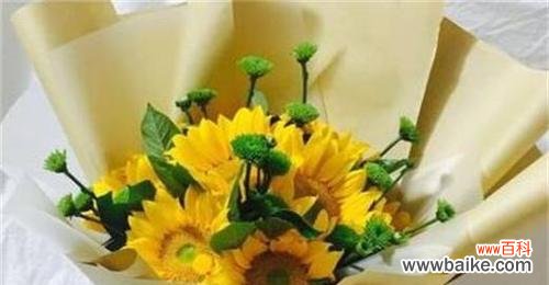 送向日葵，传递阳光与爱 向日葵的象征意义