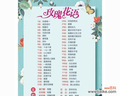 探索玫瑰花背后的丰富内涵 玫瑰花的寓意大全及花语详解