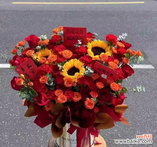 开业送大盆花卉选什么好？哪种寓意更受欢迎？