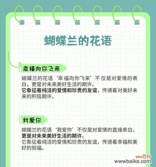 花卉与蝴蝶的组合在花语中代表了什么？
