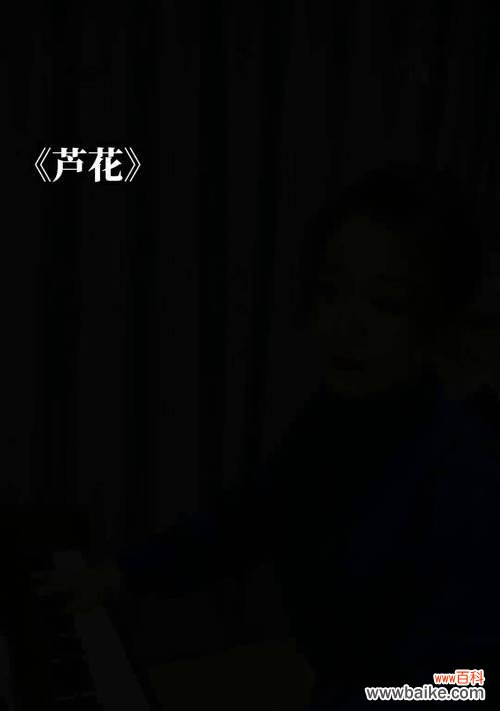 芦花钢琴的寓意是什么？芦花钢琴在音乐中代表什么？