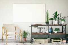 肉苁蓉的食用方法，肉苁蓉价位