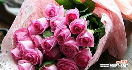 探究玫瑰花背后的情感和象征 粉色玫瑰花的花语和寓意