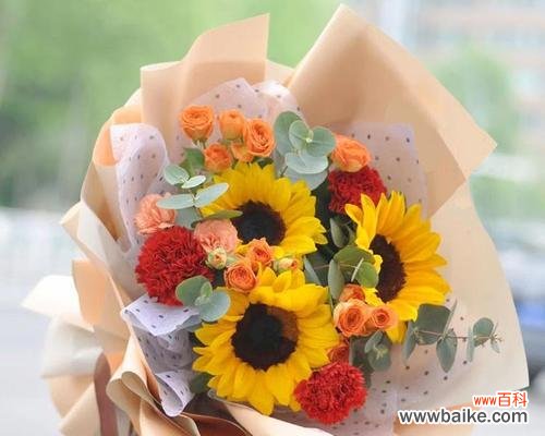 11朵康乃馨代表什么意义？送人有何特殊含义？