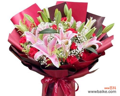 11朵康乃馨代表什么意义？送人有何特殊含义？