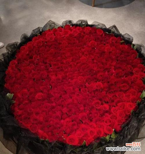 探寻玫瑰花背后的深层含义 玫瑰花的意义与象征