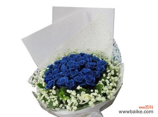 探寻蓝玫瑰背后的隐喻之美 一朵蓝玫瑰的象征意义