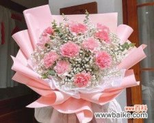 宁送康乃馨不送红玫瑰是什么意思？这两种花有什么区别？