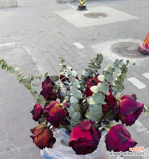 花语中的数量代表什么？花语数量的含义是什么？